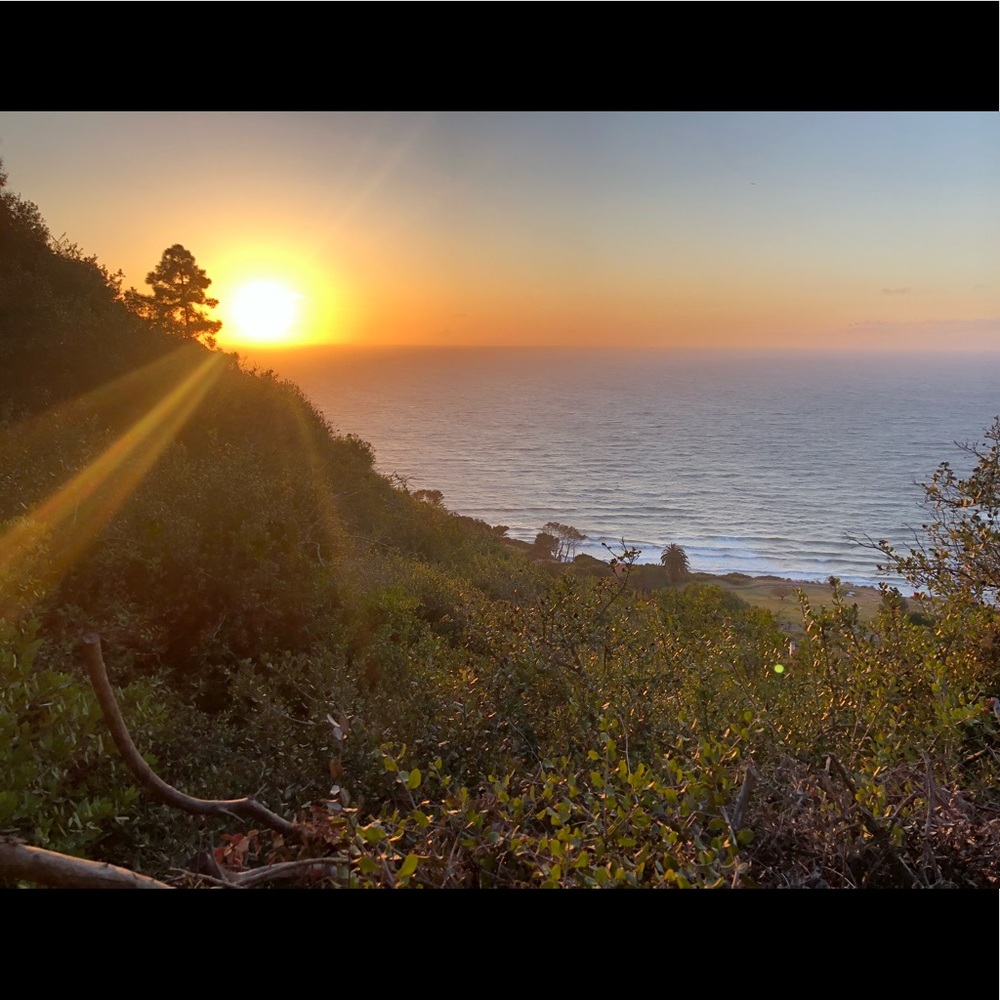 Meet your Posher, Bridget